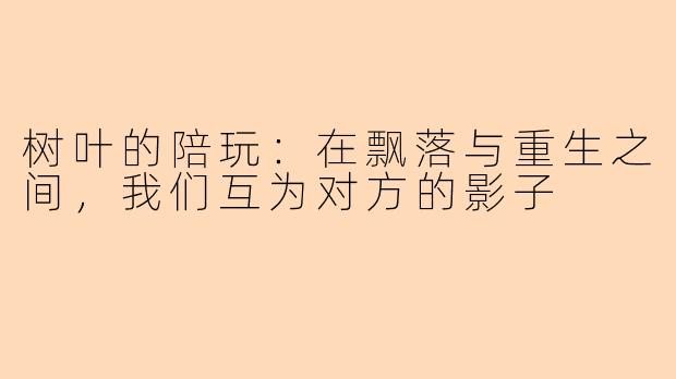 树叶的陪玩:在飘落与重生之间,我们互为对方的影子