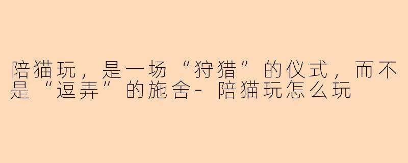 陪猫玩，是一场“狩猎”的仪式，而不是“逗弄”的施舍-陪猫玩怎么玩