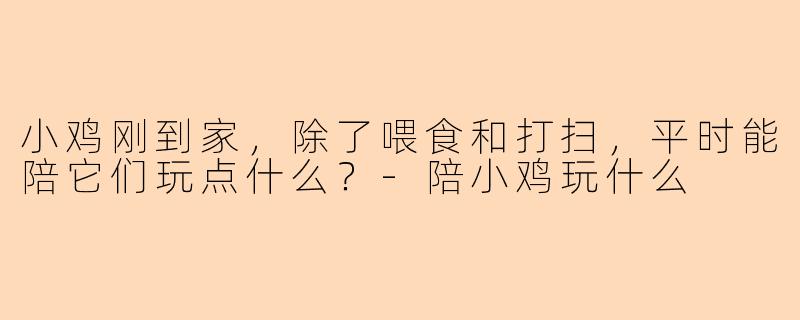 小鸡刚到家，除了喂食和打扫，平时能陪它们玩点什么？-陪小鸡玩什么