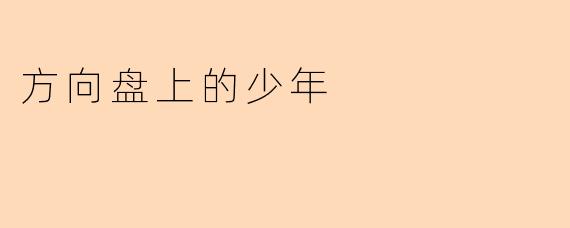 方向盘上的少年