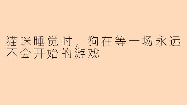 猫咪睡觉时，狗在等一场永远不会开始的游戏