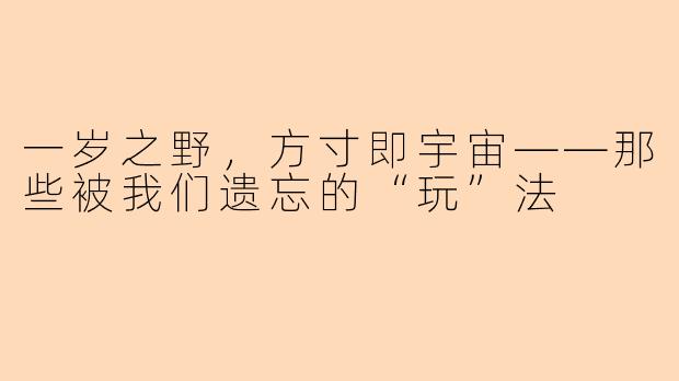 一岁之野,方寸即宇宙——那些被我们遗忘的“玩”法