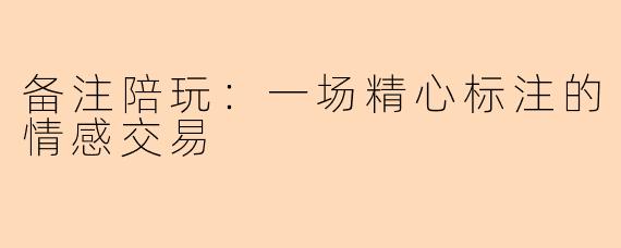 备注陪玩:一场精心标注的情感交易