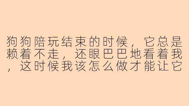 狗狗陪玩结束的时候,它总是赖着不走,还眼巴巴地看着我,这时候我该怎么做才能让它乖乖回家?-狗狗陪玩结束