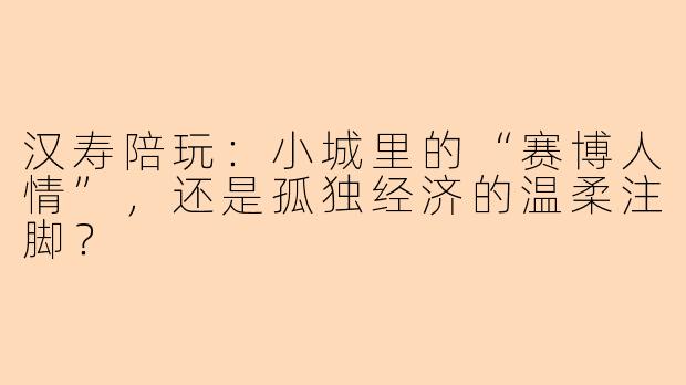 汉寿陪玩：小城里的“赛博人情”，还是孤独经济的温柔注脚？