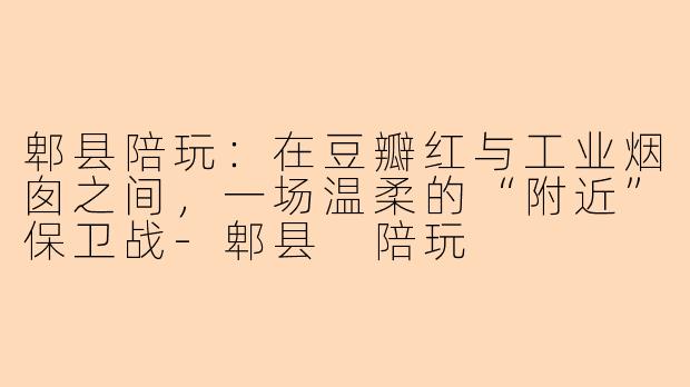 郫县陪玩:在豆瓣红与工业烟囱之间,一场温柔的“附近”保卫战-郫县 陪玩