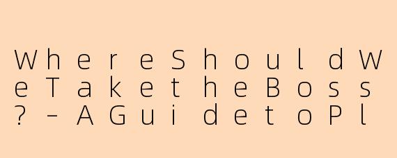 WhereShouldWeTaketheBoss?–AGuidetoPleasingYourLeaderWithoutLosingYourMind