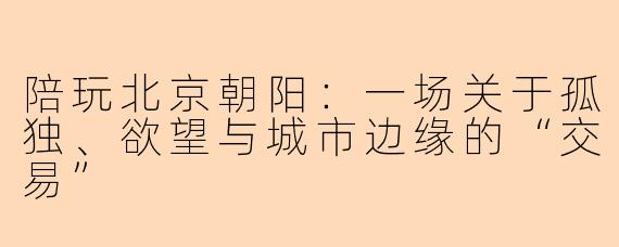 陪玩北京朝阳：一场关于孤独、欲望与城市边缘的“交易”