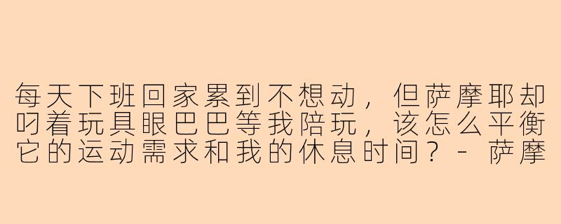 每天下班回家累到不想动,但萨摩耶却叼着玩具眼巴巴等我陪玩,该怎么平衡它的运动需求和我的休息时间?-萨摩耶每天陪玩