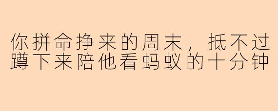 你拼命挣来的周末,抵不过蹲下来陪他看蚂蚁的十分钟