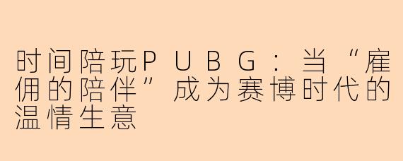 时间陪玩PUBG:当“雇佣的陪伴”成为赛博时代的温情生意