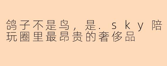 鸽子不是鸟,是.sky陪玩圈里最昂贵的奢侈品