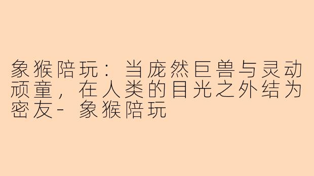 象猴陪玩:当庞然巨兽与灵动顽童,在人类的目光之外结为密友-象猴陪玩