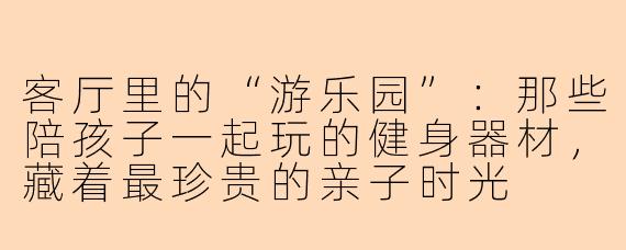 客厅里的“游乐园”:那些陪孩子一起玩的健身器材,藏着最珍贵的亲子时光